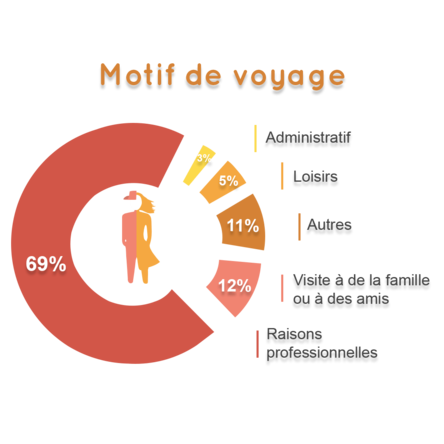 DATAVISU RAISONS1png